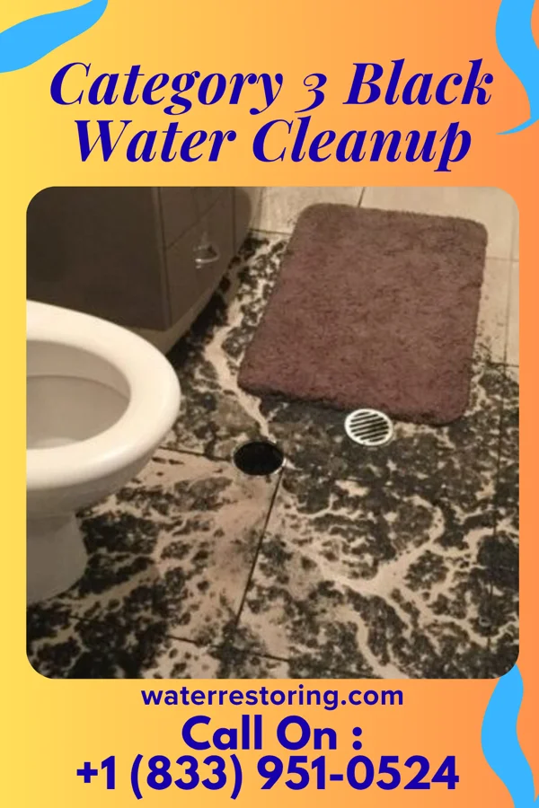 Category 3 Black Water Cleanup in Coupeville, WA