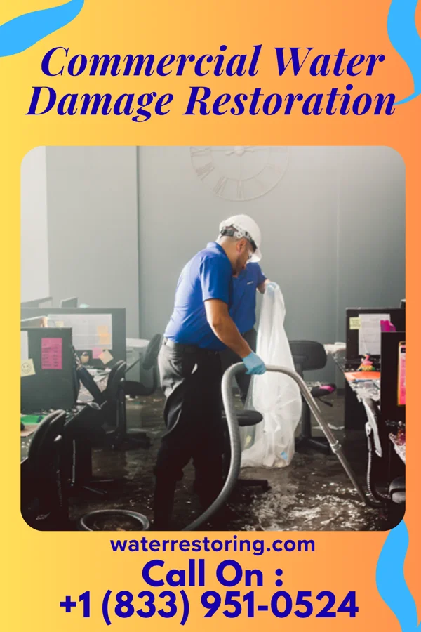 Commercial Water Damage Restoration in Coupeville, WA