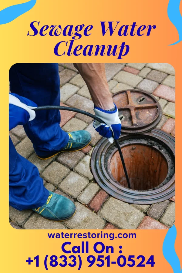 Sewage Water Cleanup in Coupeville, WA